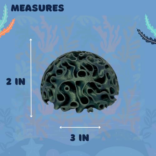 REEFSHAPE Aquarium Coral Reef Dome - Aquarium Reef Replica for Fish Shelter & Egg Laying - Aquarium Safe Dome Structure for Fish Shrimp & Aquatic Pets (Aurora Green)