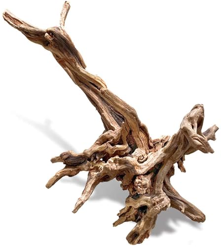 PINVNBY Large Driftwood for Aquarium Fish Tank Decorations Natural Assorted Branches Bearded Dragon Tank Accessories Terrarium Decor for Aquarium Decor (11-18 inches/1 Pack) - size: XL:Mopani Driftwood (11 - 18 inches/1 Pack)
