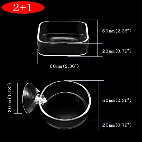 Aquarium Shrimp Feeder Dish Glass Fish Tank Feeding Bowls, 1pcs Round Glass Food Bowl (60mm), 2pcs Square Fish Feeding Bowls with Suction Cups (60mm) - size: 3x Bowl Combine 3