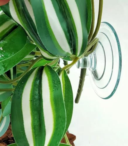 Reptile Plants for Terrarium Decor, Amphibian Habitat Decor, Snake Tank Accessories, Artificial Hanging Plants with Suction Cup-2 Packs (Zebrina Green) - color: Zebrina Green