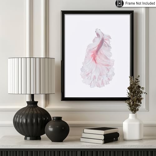 Monem Art Siamese Fighting Fish Print - The White Dress Poster - Marine Life Art - Animal Photography Wall Decor - Living Room or Office Decor - 8x10 Unframed Wall Art by Andi Halil - color: Style-02, size: 8"L x 10"W