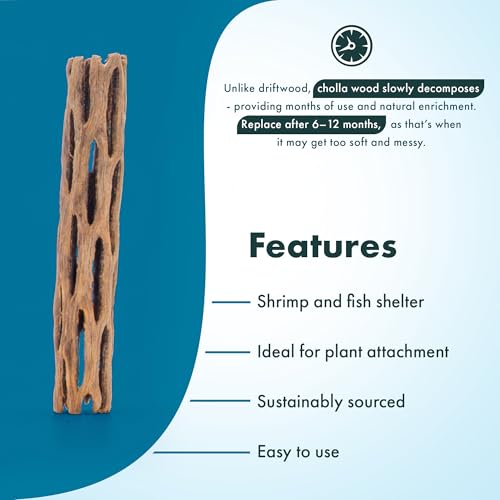 SubstrateSource Natural Cholla Wood - Driftwood for Aquariums, Air Plant Base, Hermit Crab and Freshwater Shrimp Hideout, Fish Tank Decoration, Chinchilla Chews, Reptile Habitat Wood - 4 Inch, 3pc - size: 4 Inch (Pack of 3)