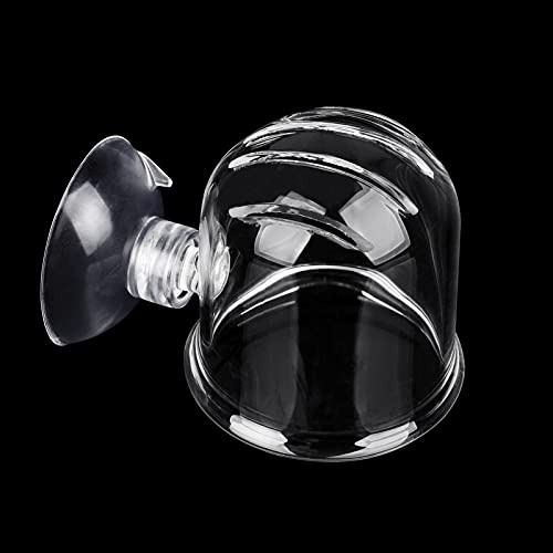 WEAVERBIRD Aquarium Glass Cone Feeder Red Worm Fish Tank Plant Shrimp Feeder Fish Feeding Cup