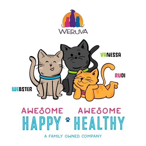 Weruva B.F.F. OMG - Best Feline Friend Oh My Gravy!, Ciao Baby! with Chicken & Shrimp in Gravy Cat Food, 2.8oz Pouch (Pack of 12) - size: 2.8 Ounce (Pack of 12)