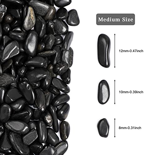 5lbs Black Natural River Rocks, High-Polished Pebbles for Plants Garden, 0.3-0.8 inch Decorative Stones, Ideal for Fish Tank, Vases, Home Decor and Garden Landscaping,Black - size: 5 Pounds, style: Black