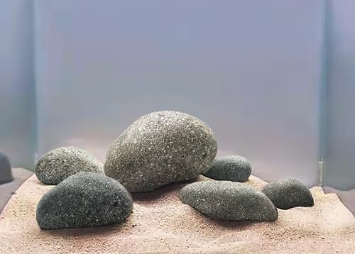 LANDEN Taiji Stone Natural Rocks(18lbs, 2~9 inches,6pcs) for Aquascape and Bonsai, Aquarium, Paludarium, Fish Tank Decoration Rocks, Landscaping Model Stone - size: 10 Taiji Stone(2-9 inches, 17lbs)
