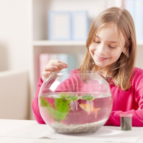 Artificial Floating Duckweed Aquarium Plant Decor, Simulation Plastic Mini Duckweed with Roots, 72pcs (18pcs X 4 Packs) for Fish Tank Landscape and Freshwater Aquariums