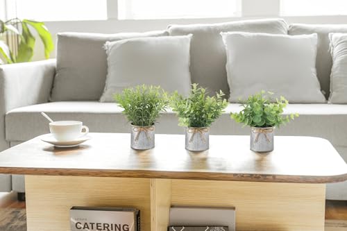 Mkono Mini Fake Plants in Farmhouse Galvanized Metal Pots 3 Pack Small Potted Artificial Plant Eucalyptus for Laundry Room Bathroom Shelf Table Decor - color: Grey, size: 2.36 inch