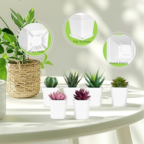 Anyumocz 24Pcs 3" Square Plastic Plant Pots,White Nursery Pots with Saucers,Seedling Nursery Transplanting Planter Container for Plants,Garden,Flower,Home,Office,Balcony Decor,Indoor,Outdoor - color: White