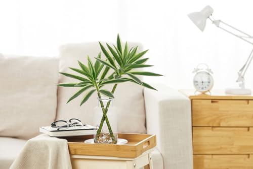 Artificial Plants Stems in Glass Vase with Faux Water,Fake Silk Plant Dracaena Leaves for Centerpiece Table Decorations Farmhouse Wedding Home Greenery Decor (Green and White) - color: White and Green#2