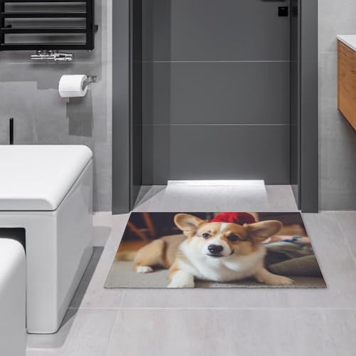 Outdoor Door Mat 15.7" X 23.6" Non-Slip Doormat Cute Corgi Front Door Mats Quick Dry Welcome Mats for Outdoor Indoor Entrance Mat Home Decor Floor Mats for Patio - color: Cute Corgi