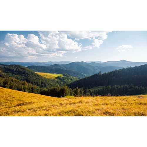 Mountain Valley Aquarium Background Cloudy Blue Sky Pine Trees Fish Tank Background Mountain Peaks Nature Landscape Reptile Enclosure Backgrounds Sunny Countryside Meadow Tank Backgrounds 24x12in - color: Green_Brown, size: 24(W)x12(H)inches/ 60(W)*30cm(H