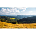 Mountain Valley Aquarium Background Cloudy Blue Sky Pine Trees Fish Tank Background Mountain Peaks Nature Landscape Reptile Enclosure Backgrounds Sunny Countryside Meadow Tank Backgrounds 24x12in - color: Green_Brown, size: 24(W)x12(H)inches/ 60(W)*30cm(H