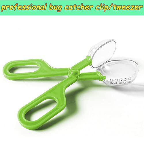 Feeding Tongs,Bug Tweezers for Kids Adults, Reptile Feeding Tweezers Long Handle Feeder Tools for Fish Aquariums Reptiles Snakes Lizard Gecko Spider and Bird (Green) - color: Green