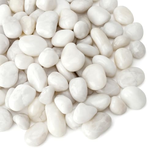 Mr. Fireglass 5lb White River Rocks, 3/8 inch Natural Decorative Polished Pebbles Aquarium Gravel Stones for Landscaping, Indoor Plants, Vase, Succulent, Fish Tank - color: White, size: 3/8 inch, 5 lb