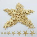 100 Pcs Small Starfish Star Sea Shell Beach for Craft 0.4"-1"