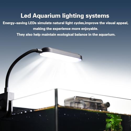 Fish Tank Kit,1.2 Gallon Small Aquarium,Ultra-Clear Nano Aquarium,Betta Fish Tank,Small Fish Tank,Aquarium Starter kit with Light,Filter,Pine Skin Stone,Sand and Artificial Plants - size: 5.9"L x 5.9"W x 7.87"H