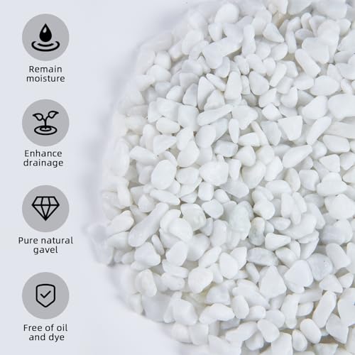 5lb Polished Aquarium Silica Gravel, Decorative Pebbles Substrate for Fish Tank, Vases, All Purpose Silica Gravel for Aquarium, Fire Pits, and Landscaping, Snow White(0.16-0.24”) - color: White Small, size: 5LB