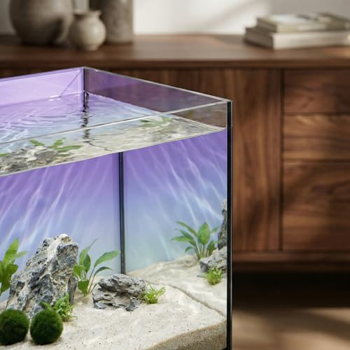 2.8 Gallon Glass Fish Tank with Filter LED Light Complete Betta Fish Tank Starter Kit for Small Aquarium Lovers, Rimless Freshwater Nano Tank with All Essentials Included - size: 2.8 Gallon