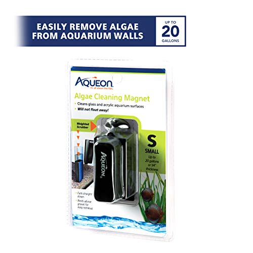 Aqueon Aquarium Algae Scraper, Fish Tank Cleaning Magnets for Glass/Acrylic, Small, Black (Pack of 3) - size: Small (Pack of 3)