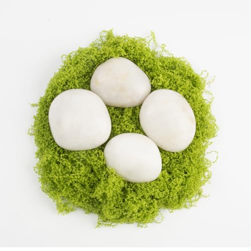 River Rocks - Natural Polished White Pebbles, 2-3 inches, 10 lbs - Ideal for Patio Landscaping, Rock Gardens, Succulent Arrangements, and Pathway Edging (White, Weight: 10 LB) - color: White, size: Weight: 10 LB