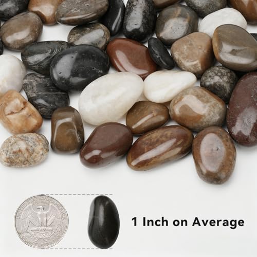 Onlyfire 10lb Polished Pebbles, 1" Natural Decorative Mixed Color River Rocks Aquarium Gravel Stones for Landscaping, Indoor Plants, Vase, Succulent, Fish Tank - size: 10 Pounds