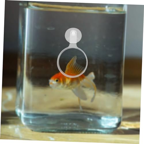 Alasum Betta Fish Glass Cup Viewer for Ants Spiders and Small Aquatic Animals Easy Installation for Plant Observation Fish Tanks