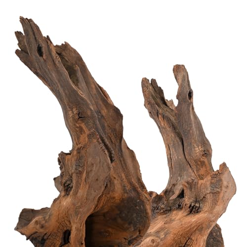 Natural Driftwood Spider Wood Branches Fish Tank and Reptile Terrarium Decor Assorted Sizes for Aquariums and Lizard Habitats (14-17 inch (Pack of 1), Mopani Driftwood)