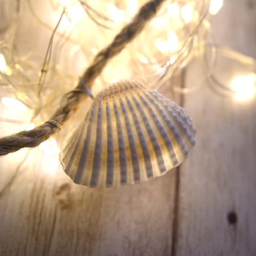 Small Seashell for Craft, Natural White Clam Sea Shells, DIY Assortment, Tiny Shell, Ocean-Themed Decorations, Fish Tank Plant Gravel, Party Wedding Home Decor Vase Filler, 200pcs
