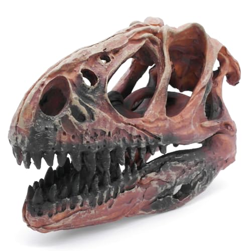 Fish Hideout Aquarium Décor Decorations Dinosaur Skull Fish Tank Decor Cave Dinosaur Skull Betta Animal Halloween Large Tarantula Reptile Bones Snake for Terrarium Ornament - color: Tyrannosaurus