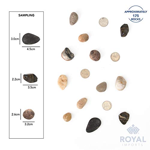 River Rocks Decorative Ornamental Vase Filler 1"-1.5" Natural Aquarium Gravel 2 lbs - Landscaping Pebbles for Indoor Plants, Fish Tank Gravel, Terrarium& Home Decor, DIY & Crafting – Royal Imports - size: 1"- 1.5" - 2 lbs, style: Natural