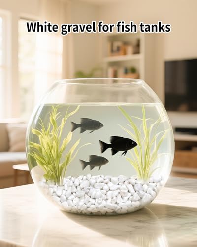 6LB White Succulent & Cactus Gravel Pebbles - 1/4-3/8 Inch Natural Polished River Rocks, Decorative Stones for Plants, Terrariums, Vases, Aquariums & Outdoor Gardening - color: White, size: 6 lb
