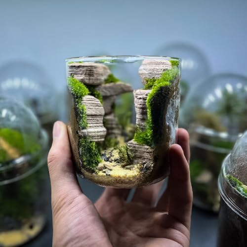 Natural Rocks Pagoda Stones 1-2.5 Inches Decorative Stones for Fairy Gardens,Miniature Landscaping,Bonsai,DIY Crafts,Aquariums & Reptile Terrariums-1lb - size: 1lb(1-2.5Inch)