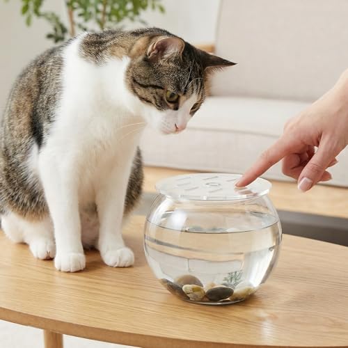 Round Fish Tank Lid 5.12 Inch Clear Aquarium Cover with Cat Proof Mesh for Rimless Fishbowls Protective Top Cover - size: 13.00X13.00X0.30CM