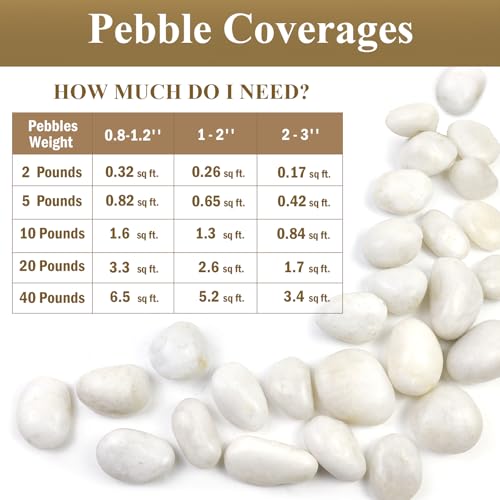 5lbs White Pebbles for Indoor Plants, 0.8-1.2 Inch Smooth White River Rocks for Potted Plants, Decorative Polished Stones for Landscaping Vase Fish Tank and Outdoor Garden Pavers - size: 0.8-1.2 Inch, style: 5 Pounds