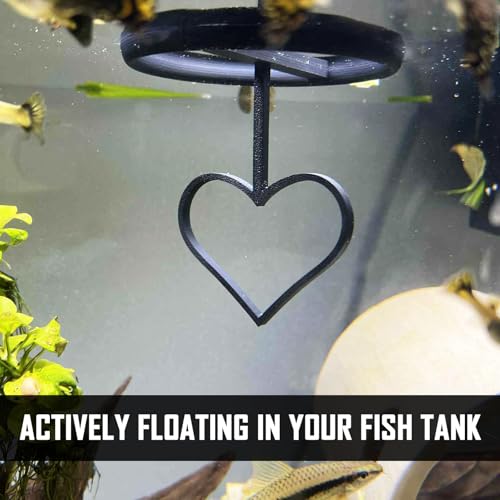 Floating Heart Betta Training Ring, Heart Active Betta Training Ring, Floating Feeder, Enrichment Toys for Aquarium Decor, Pink, 3.8in x 3.7in (Black, Pack of 2) - color: Black, size: Pack of 2