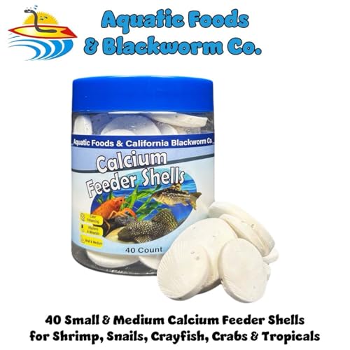 Calcium Feeding Shells, Small & Medium for Shrimp, Snails, Crabs, Crayfish, Plecos, Catfish, All Tropical Fish, 4-Type Wafer & 12-Type Pellet Mix Included 40 Count Canister - size: 40 Count (Pack of 1)