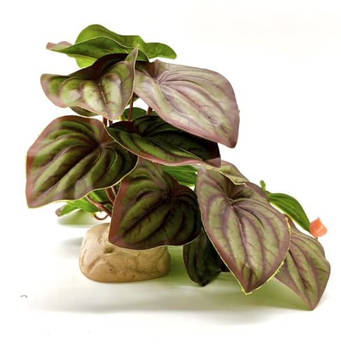 Reptile Plants for Terrarium Decor,Amphibian Habitat Decor,Artificial Plants for Gecko Chameleon Snake Tortoise Tank Accessories with Base (red Watermelon peperomia) - color: Red Watermelon Peperomia