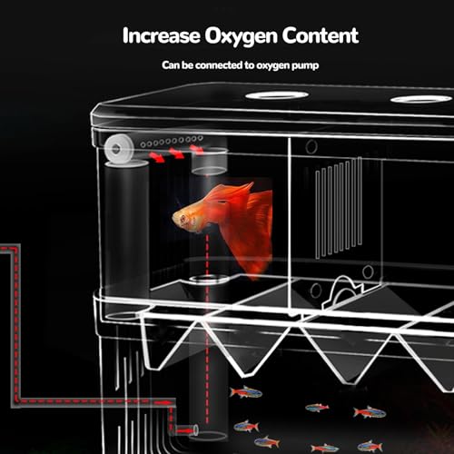 J-star Large Fish Breeder Box for Aquarium Tank, Acrylic Breeding Box for Guppy/Betta/Shrimp/Clownfish, Baby Fish Hatchery & Isolation Tank - size: Large