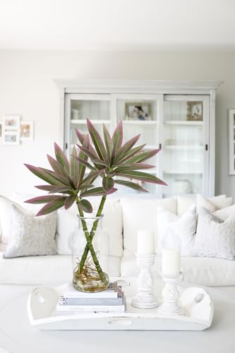 Artificial Pink Plants Stems in Glass Vase with Faux Water,Fake Silk Plant Dracaena Leaves for Centerpiece Table Decorations Farmhouse Wedding Home Greenery Decor - color: Pink#2