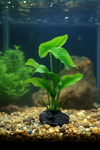 JGbaby Artificial Aquarium Plants,Fish Tank Decorations Betta Leaf Hammock 7in Realistic Silk & Plastic Plants, Hideout Decor for Betta. Goldfish,Reptiles,Small Tanks (Green Type-A) - color: Green Type-a, size: 7 inches
