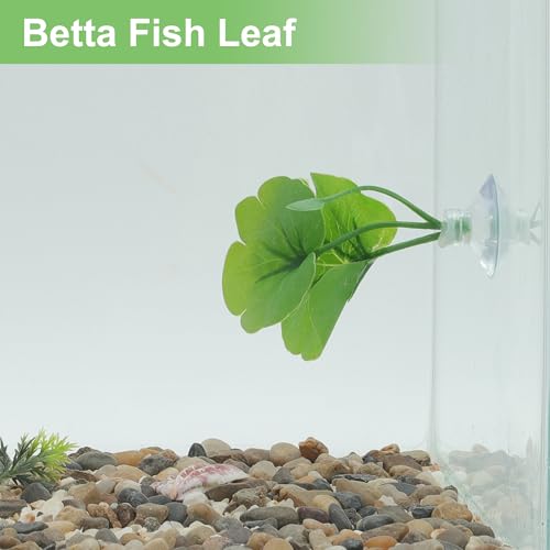 Betta Fish Leaf, Natural Habitat Simulation for Betta Spawnings Grounds, Betta Spawnings Leaves, Resting Bed, Large Small Leaves, Green