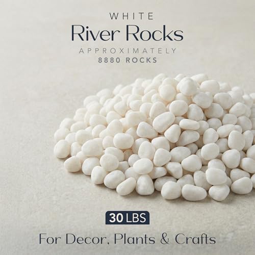 River Rocks Decorative Ornamental Vase Filler 0.5" - 0.75" White Aquarium Gravel 30 lbs - Landscaping Pebbles for Indoor Plants, Succulents, Terrarium & Home Decor, DIY & Crafting – Royal Imports - size: Small - 30 lbs, style: White
