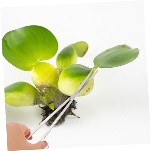 ibasenice 3-Piece Aquarium Plant Tool Kit Stainless Steel Trimming Scissors Tweezers Rake for Aquascaping for Fish Tanks and Aquatic Plant Maintenance