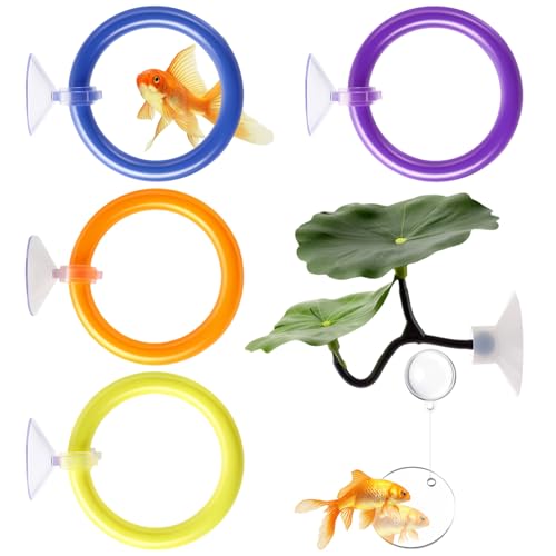 6 PCS Betta Fish Toys, 4 Exercise Training Ring 1 Fish Mirror with Ball and 1 Resting Leaf for Small Medium Stress-Free Fishes Bettas Aquarium, Multicolor
