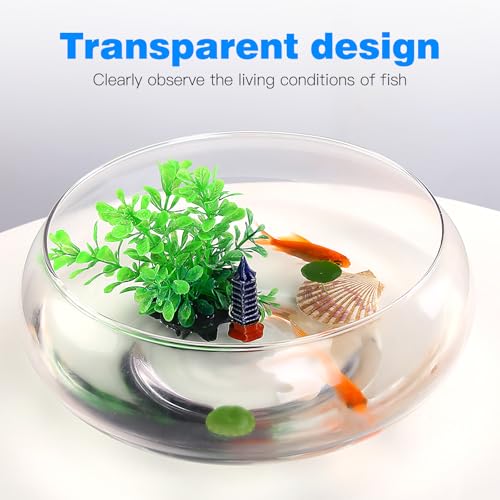 Transparent Acrylic Aquarium .52X9.52X3.93In Desktop Betta Fish Bowl with Clear Design for Home Office Decor and Aquatic Plant Display