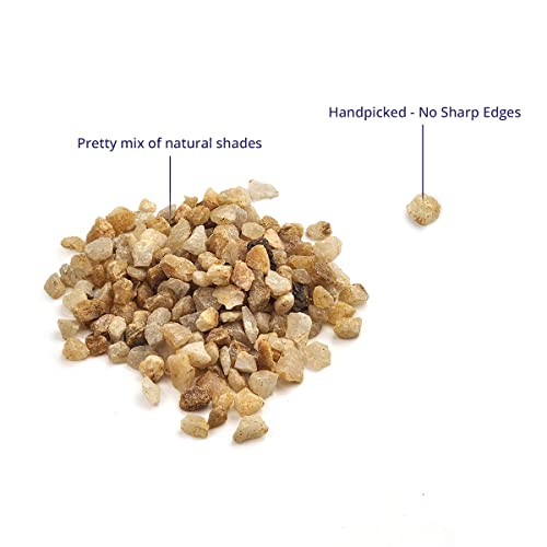 River Rocks Decorative Ornamental Vase Filler 0.25" Natural Aquarium Gravel - 5 lbs Landscaping Pebbles for Indoor Plants, Fish Tank Gravel, Terrarium & Home Decor, DIY & Crafting – Royal Imports - size: Mini - 5 lbs, style: Natural