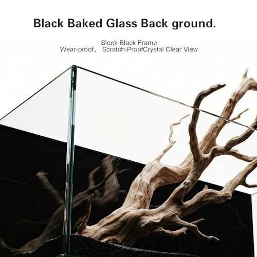 Desktop Glass Fish Tank, 2.8 Gallon Small Betta Fish Tank Starter Kit with LED Light, Efficient Filter and Non-Slip Base, Black Nano Aquarium for Small Space Home Decor ﻿