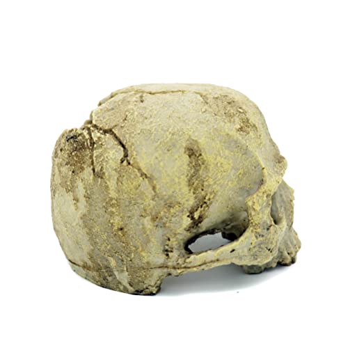 JIHAQUA Aquarium Resin Skull, Reptile Tank Accessories Ornament Basking Snake Hide Decor Habitat