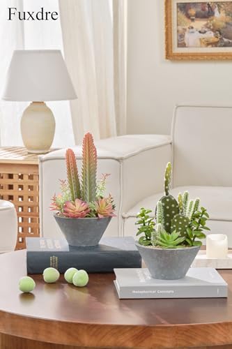 2-Pack Artificial Succulent Plants in Vintage Plastic Pots - Waterproof Fake Plants Decor for Home Office Desk - Low Maintenance Indoor Greenery for Bathroom, Shelf & Table - color: Succulent-b-2pcs